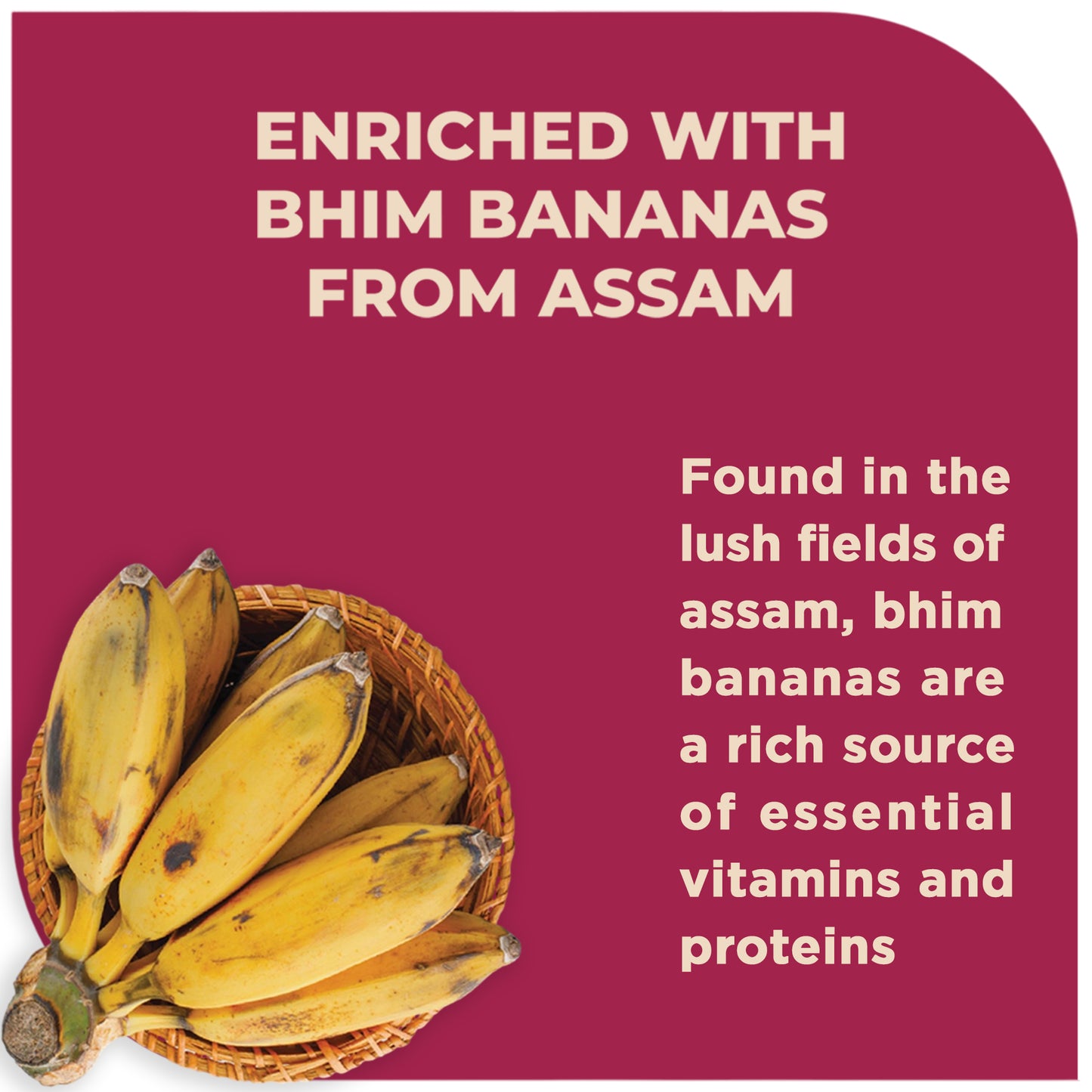Fitbhim Diabetic Friendly Oats for Adults 300g | Bhim Bananas, Millets & Monk Fruit | Zero Added Sugar & Gluten-Free