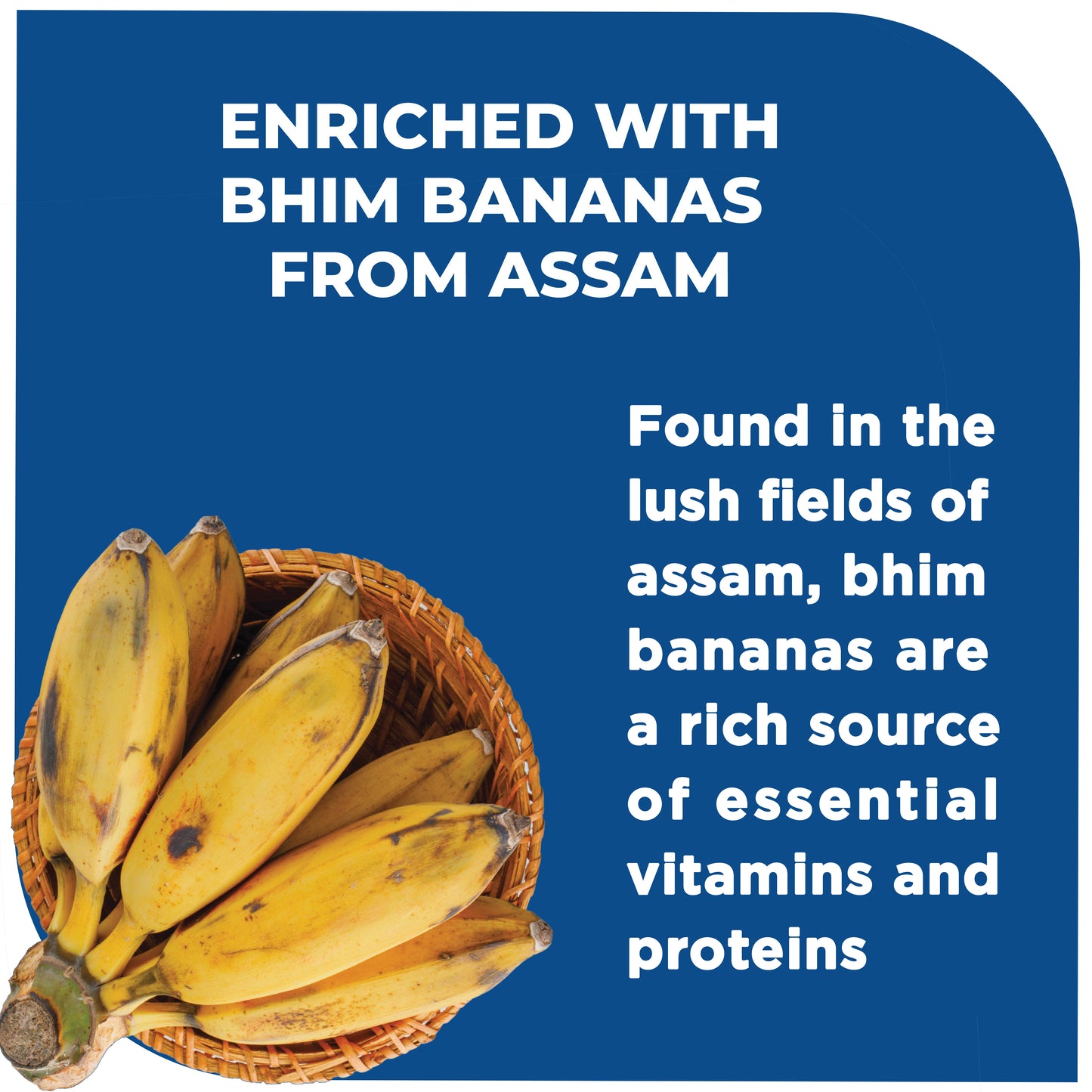 Fitbhim Ready-to-Eat Jaggery Oats Bhim Banana (300g × 3 Jars) + Everyday Breakfast  Fitbhim 500ml Bowl with Spoon (FREE)